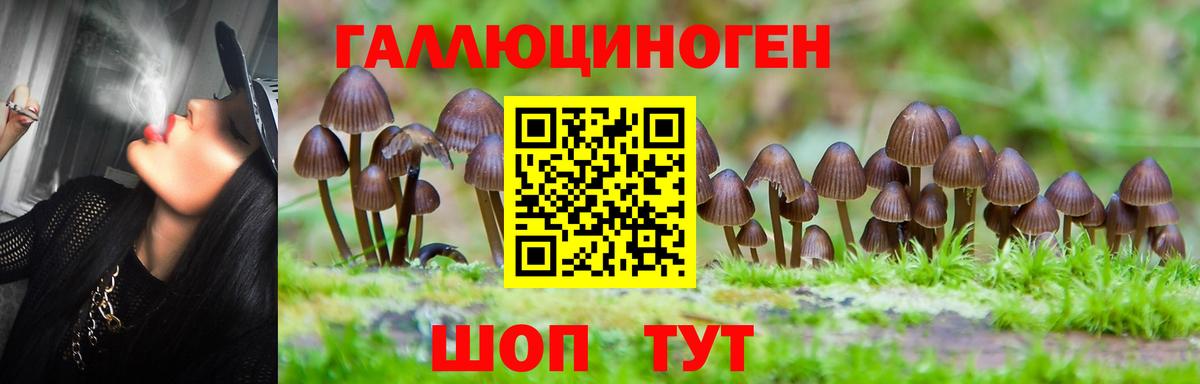 Янаул  магазин продажи   Вход с VPN  Галлюциногенные грибы MAGIC MUSHROOMS 